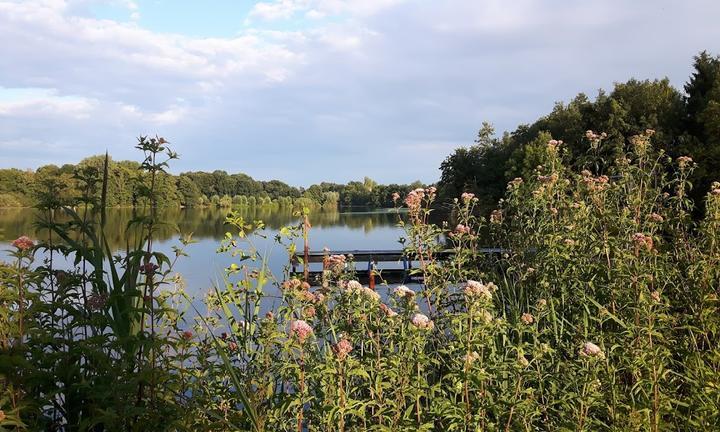 Cafe-Restaurant Hasenheide